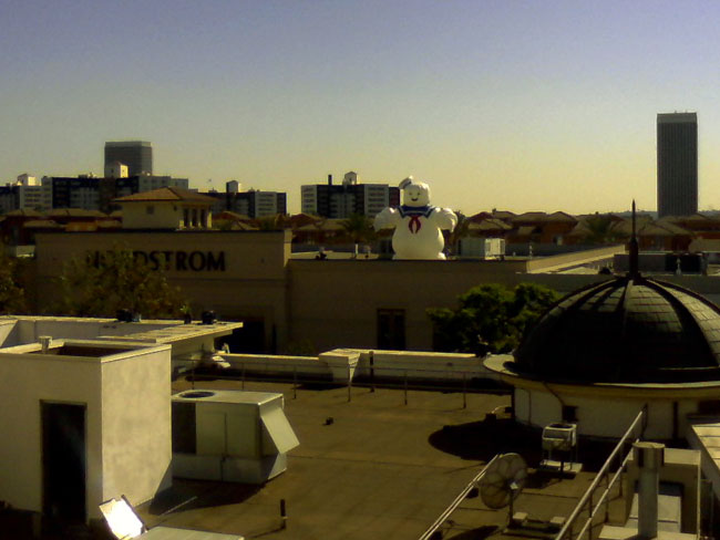 2008-10-22